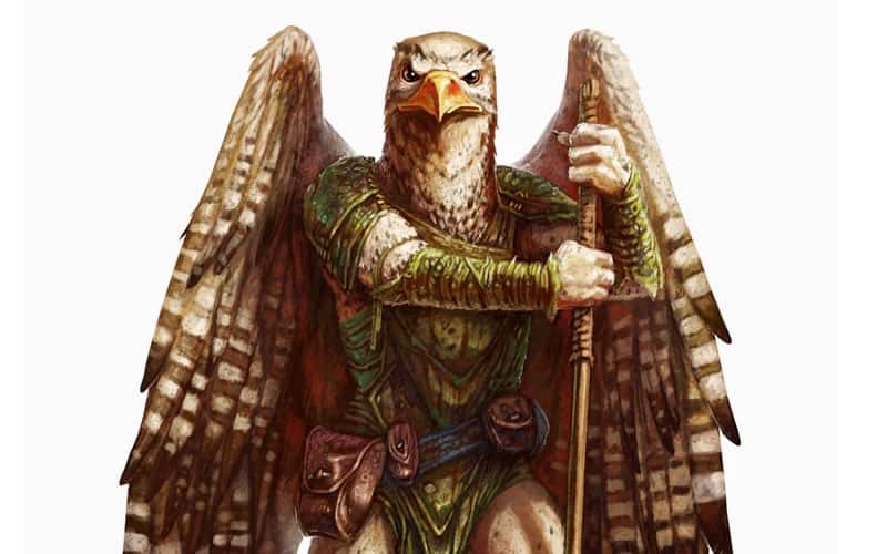 Aarakocra