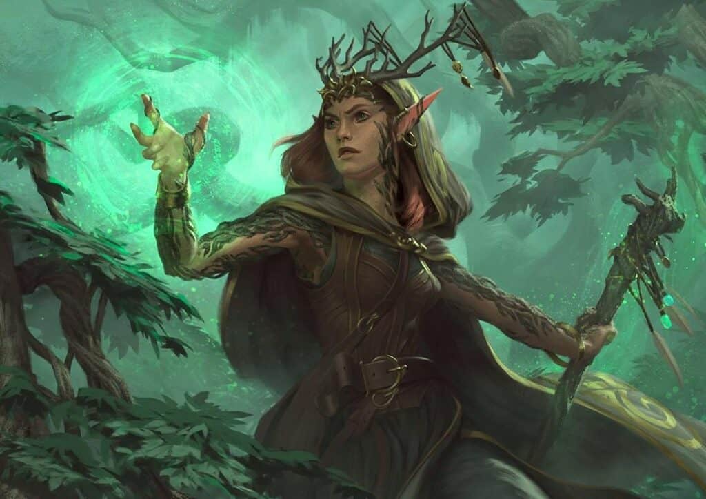 Druid 5e Guide: Everything You Need to Know - Explore DnD