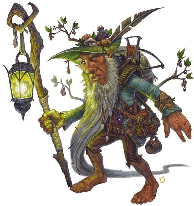 Forest Gnome