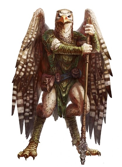 Aarakocra dnd