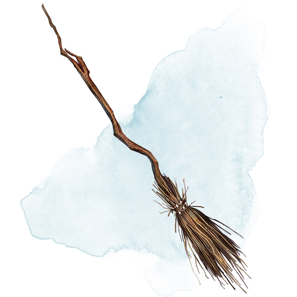 Broom of Flying