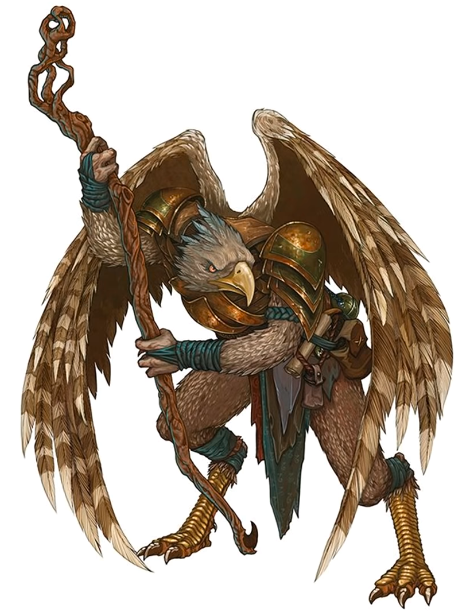 Aarakocra E Guide The Best Birds For All Explore DnD